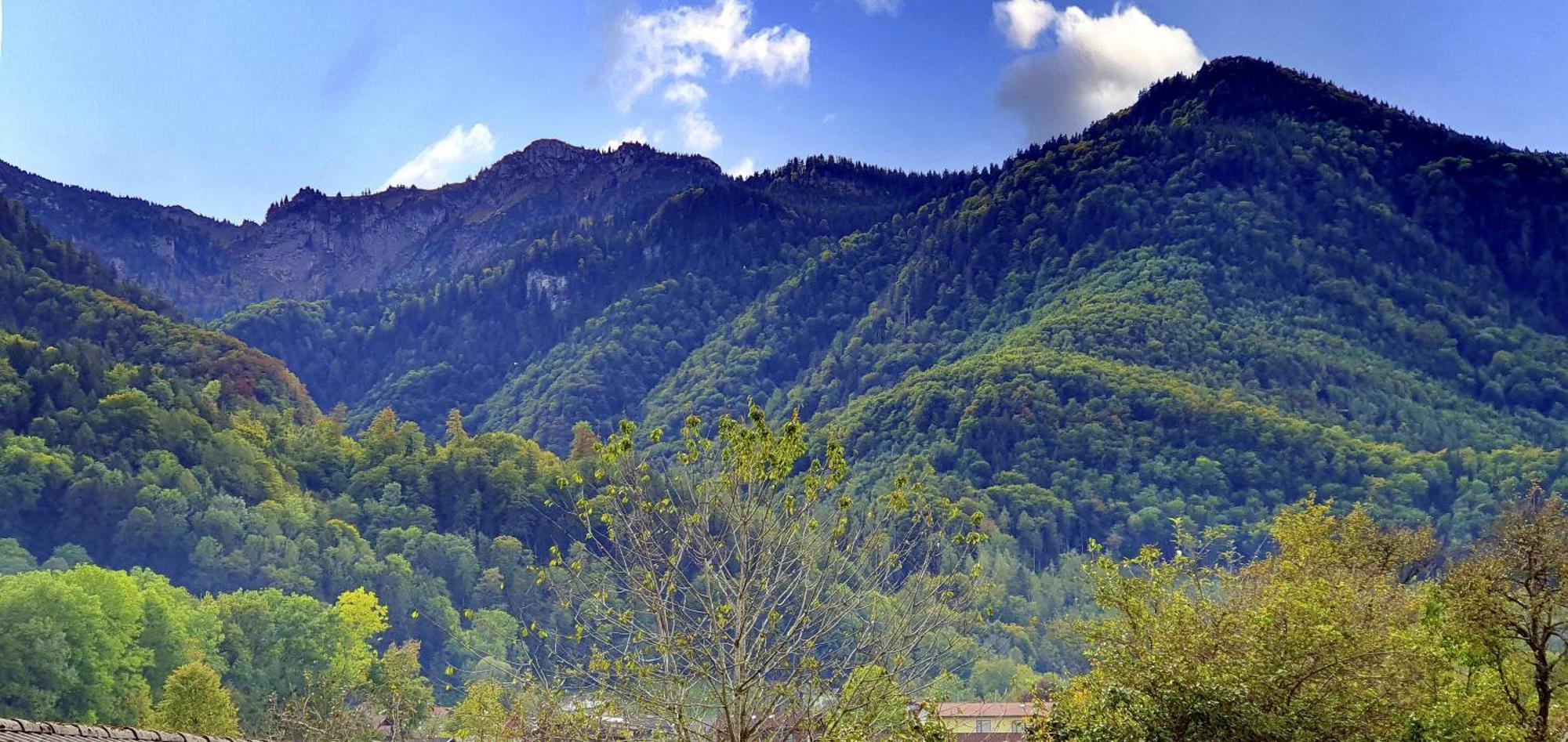 Ferienhof Oberhuber Staudach-Egerndach Esterno foto